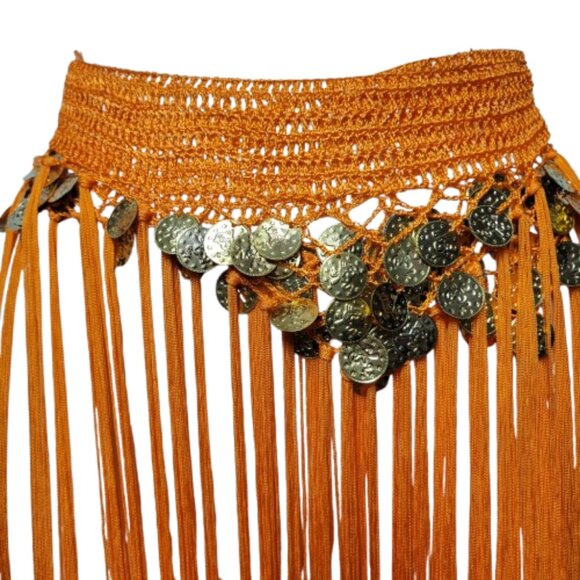 Hip Skirt Belly Dance Tassels Fringe Skirt Bellydance Coins and Fringe Hip Scarf - Picture 2 of 11